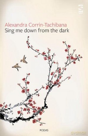 Sing Me Down from the Dark (Salt Modern Poets) - Alexandra Corrin-Tachibana [KSIĄŻKA]