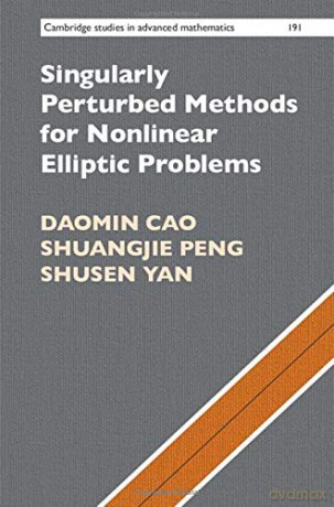 Singularly Perturbed Methods for Nonlinear Elliptic Problems (Cambridge Studies in Advanced Mathematics) - Shusen Yan [KSIĄŻKA]