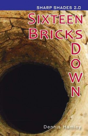 Sixteen Bricks Down (Sharp Shades) - Hamley Dennis [KSIĄŻKA]