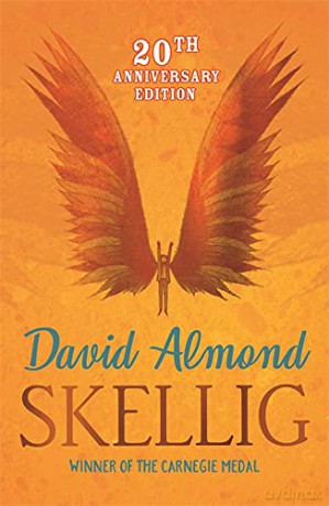 Skellig - David Almond [KSIĄŻKA]