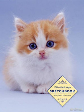 Sketchbook: Kitten: 128 Unlined Pages - Peony Press [KSIĄŻKA]