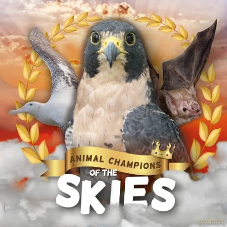 Skies (Animal Champions of the) - Madeline Tyler [KSIĄŻKA]