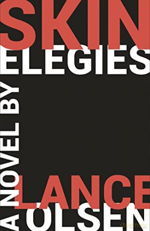 Skin Elegies - Lance Olsen [KSIĄŻKA]