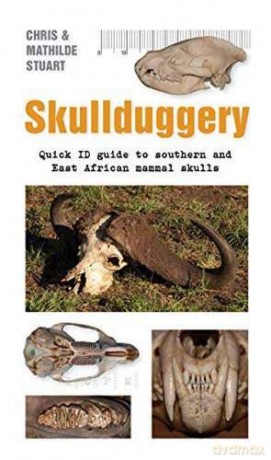 Skullduggery A Quick: Quick ID Guide to Southern and East African Animal Skulls (Quick ID guides) - Mathilde Stuart [KSIĄŻKA]