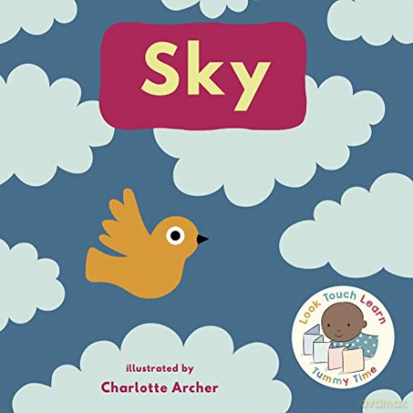 Sky: 4 (Look, Touch, Learn, 4) - Charlotte Archer [KSIĄŻKA]