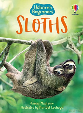 Sloths (Beginners) - James Maclaine [KSIĄŻKA]