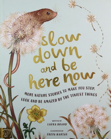 Slow Down and Be Here Now: More Nature Stories to Make You Stop, Look and Be Amazed by the Tiniest Things - Laura Brand [KSIĄŻKA]