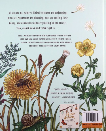 Slow Down and Be Here Now: More Nature Stories to Make You Stop, Look and Be Amazed by the Tiniest Things - Laura Brand [KSIĄŻKA]