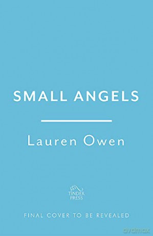 Small Angels: 'A twisting gothic tale of darkness, intrigue, heartbreak and revenge' Jennifer Saint - Lauren Owen [KSIĄŻKA]