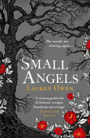 Small Angels: 'A twisting gothic tale of darkness, intrigue, heartbreak and revenge' Jennifer Saint - Lauren Owen [KSIĄŻKA]