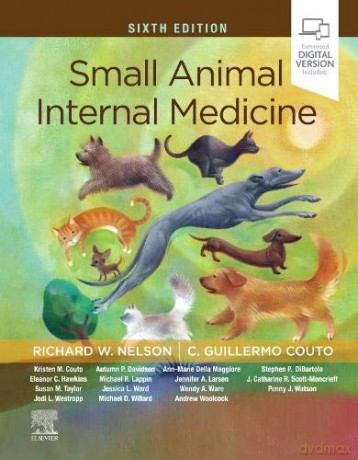 Small Animal Internal Medicine - Richard W. Nelson DVM [KSIĄŻKA]