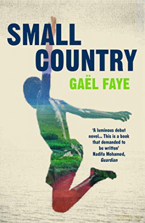 Small Country - Gaël Faye [KSIĄŻKA]
