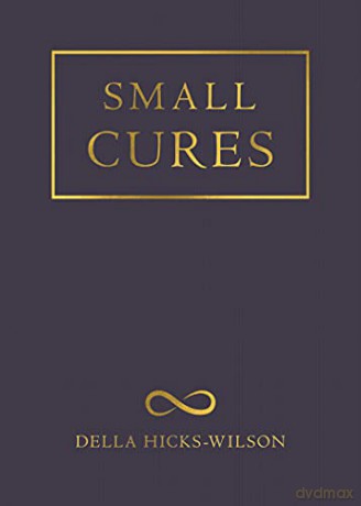 Small Cures - Della Hicks-Wilson [KSIĄŻKA]