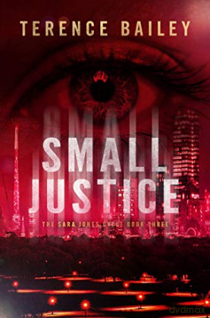 Small Justice (The Sara Jones Cycle, Book 3) - Terence Bailey [KSIĄŻKA]