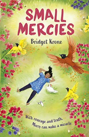 Small Mercies: 1 - Bridget Krone [KSIĄŻKA]