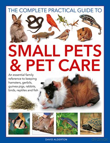 Small Pets and Pet Care, The Complete Practical Guide to: An essential family reference to keeping hamsters, gerbils, guinea pigs, rabbits, birds, reptiles and fish - David [KSIĄŻKA]