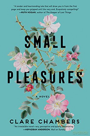 Small Pleasures - Clare Chambers [KSIĄŻKA]