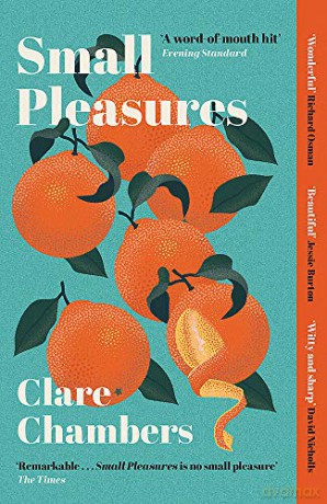 Small Pleasures: Longlisted for the Women's Prize for Fiction 2021 - Clare Chambers [KSIĄŻKA]