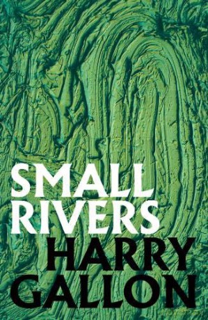 Small Rivers - Harry Gallon [KSIĄŻKA]