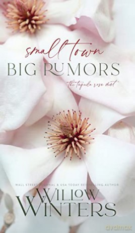 Small Town Big Rumors - Willow Winters [KSIĄŻKA]