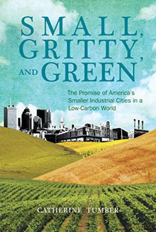 Small, Gritty, and Green: The Promise of America's Smaller Industrial Cities in a Low-Carbon World (Urban and Industrial Environments) - Robert Gottlieb [KSIĄŻKA]