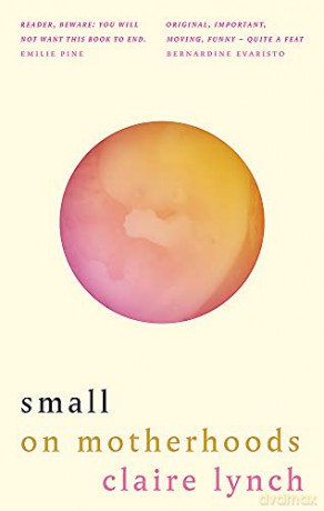 Small: On motherhoods - Claire Lynch [KSIĄŻKA]