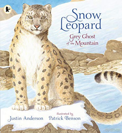 Snow Leopard: Grey Ghost of the Mountain (Nature Storybooks) - Justin Anderson [KSIĄŻKA]