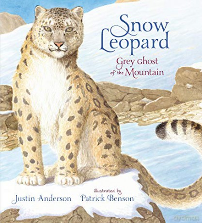 Snow Leopard: Grey Ghost of the Mountain (Nature Storybooks) - Justin Anderson [KSIĄŻKA]