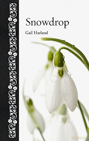 Snowdrop (Botanical) - Gail Harland [KSIĄŻKA]