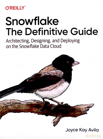 Snowflake: The Definitive Guide: Architecting, Designing, and Deploying on the Snowflake Data Cloud - Joyce Kay Avila [KSIĄŻKA]