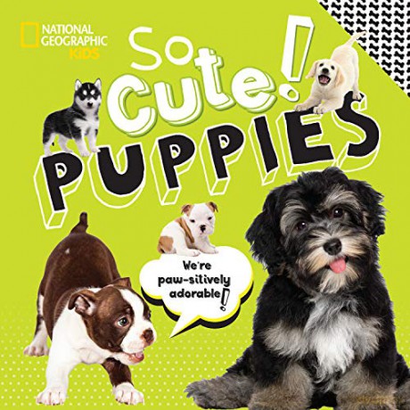 So Cute! Puppies (National Geographic Kids) - National Geographic Kids [KSIĄŻKA]