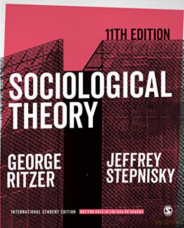 Sociological Theory - International Student Edition - Jeffrey N. Stepnisky [KSIĄŻKA]