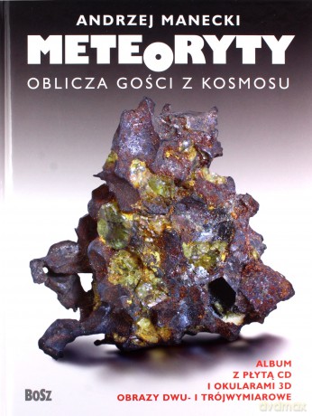 Meteoryty. Oblicza gości z kosmosu - Andrzej Manecki, Janina Wrzak [KSIĄŻKA]
