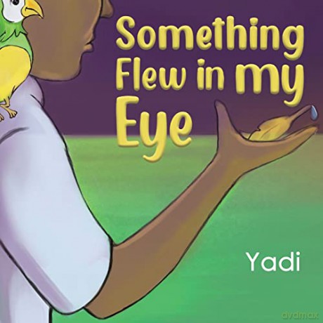 Something Flew in my Eye - Yadi [KSIĄŻKA]