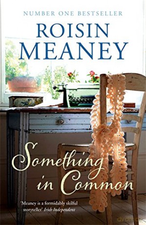 Something in Common - Roisin Meaney [KSIĄŻKA]