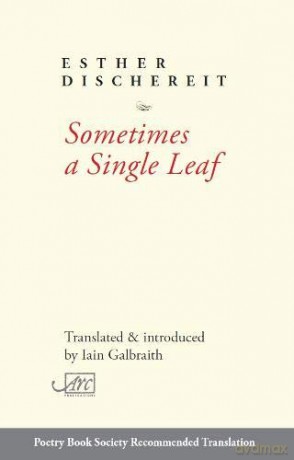 Sometimes a Single Leaf - Esther Dischereit [KSIĄŻKA]