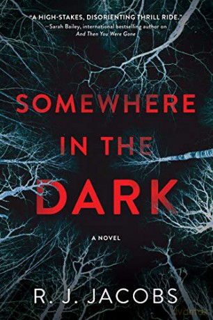 Somewhere in the Dark - R J Jacobs [KSIĄŻKA]