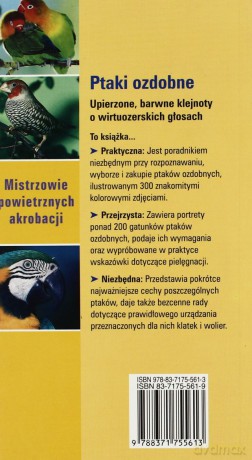 Ptaki ozdobne od A do Z - Angelika Lang [KSIĄŻKA]