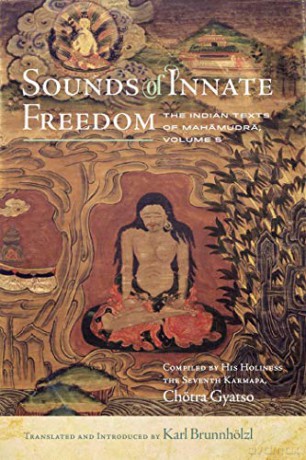 Sounds of Innate Freedom: The Indian Texts of Mahamudra, Volume 5 - Karl Brunnhoelzl [KSIĄŻKA]