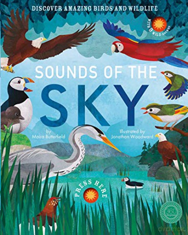 Sounds of the Sky - Moira Butterfield [KSIĄŻKA]
