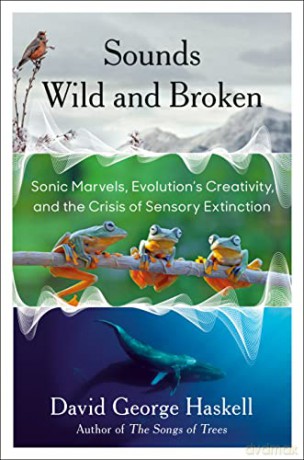 Sounds Wild and Broken: Sonic Marvels, Evolution's Creativity, and the Crisis of Sensory Extinction - David George Haskell [KSIĄŻKA]