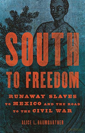 South to Freedom: Runaway Slaves to Mexico and the Road to the Civil War - Alice L. Baumgartner [KSIĄŻKA]