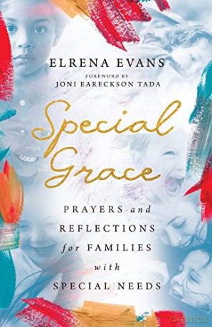 Special Grace: Prayers and Reflections for Families with Special Needs - Elrena Evans [KSIĄŻKA]