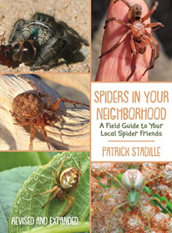 Spiders in Your Neighborhood: A Field Guide to Your Local Spider Friends, Revised and Expanded - Patrick Stadille [KSIĄŻKA]