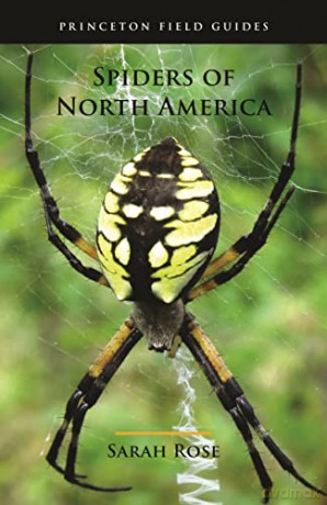 Spiders of North America: 126 (Princeton Field Guides, 154) - Rose [KSIĄŻKA]