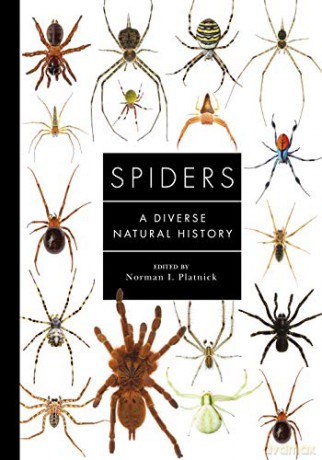 Spiders of the World: A Natural History - Norman Platnick [KSIĄŻKA]