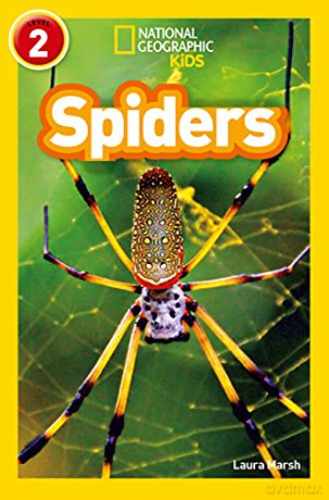 Spiders: Level 2 - Laura Marsh [KSIĄŻKA]