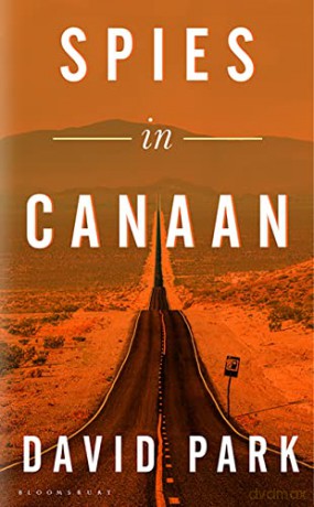 Spies in Canaan: 'One of the most powerful and probing novels so far this year' - Financial Times, Best summer reads of 2022 - David Park [KSIĄŻKA]