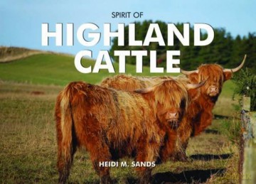 Spirit of Highland Cattle - Heidi M. Sands [KSIĄŻKA]