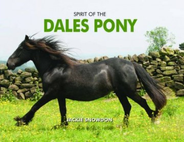 Spirit of the Dales Pony - Jackie Snowdon [KSIĄŻKA]